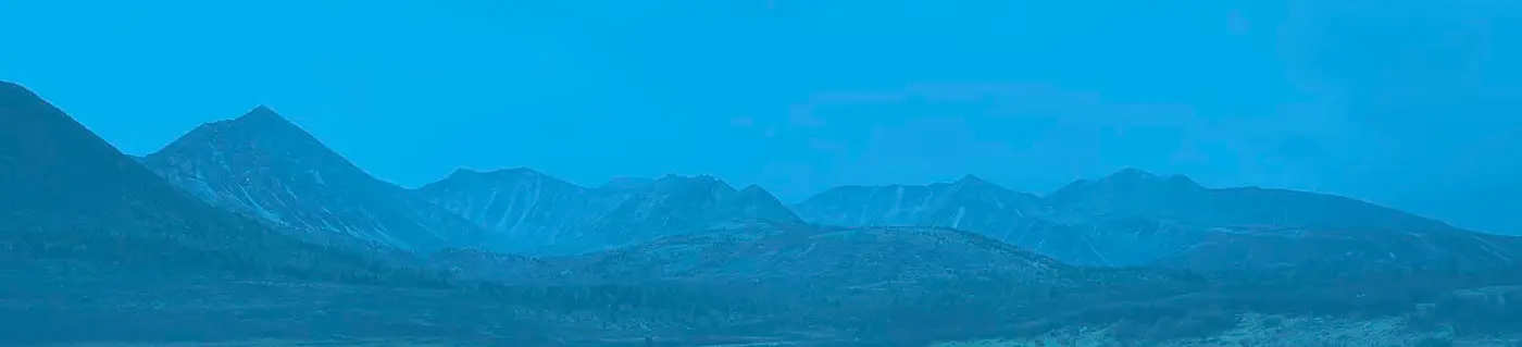 &nbsp;
